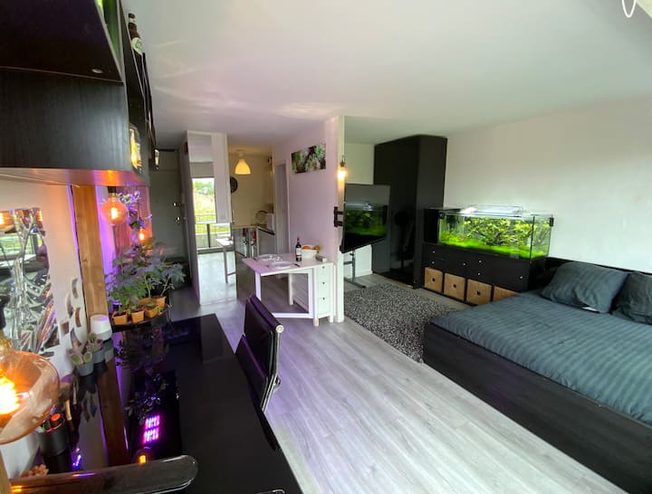 Appartement Bordeaux - Bordeaux