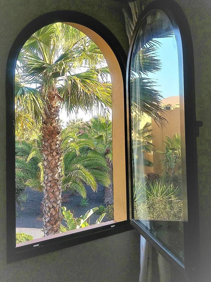 วิวห้องพักของสวน 