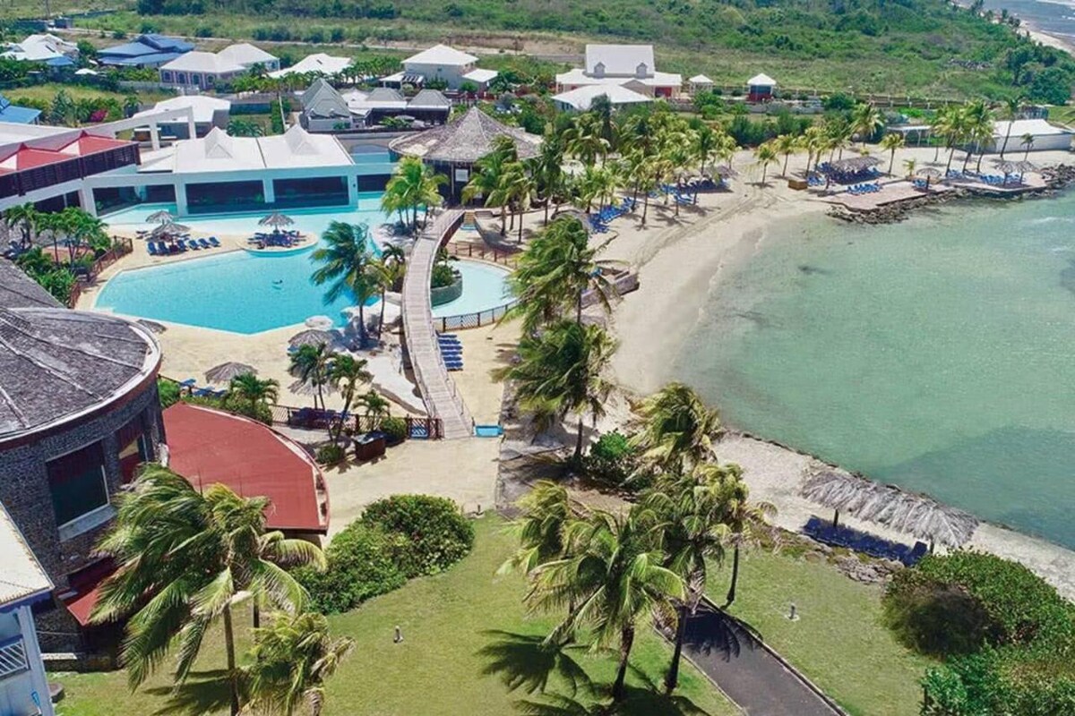 An aerial view reveals a sprawling outdoor area featuring a pool surrounded by lounge chairs. The shoreline curves gently along a sandy beach, framed by palm trees. The landscape showcases well-maintained gardens and buildings, illustrating a coastal retreat atmosphere.