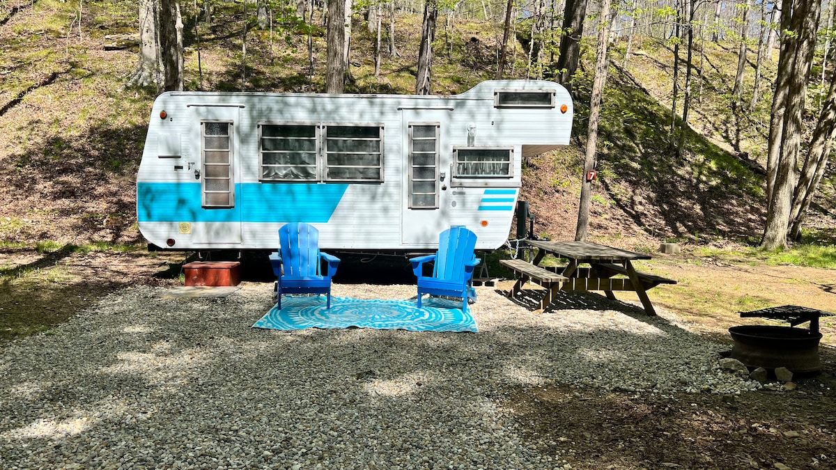 A vintage camper is positioned on a gravel area, surrounded by lush trees. Two blue chairs are placed on a patterned rug in front, with a picnic table nearby. A fire pit is also present, enhancing the outdoor camping experience.