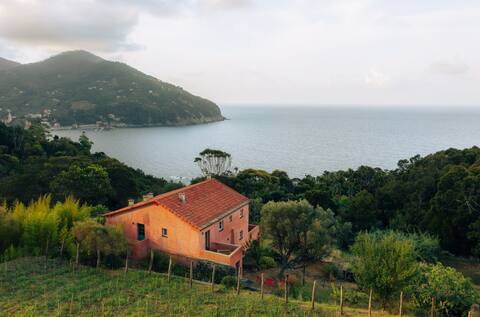 Le Lagore - Amazing restored CinqueTerre Farmhouse