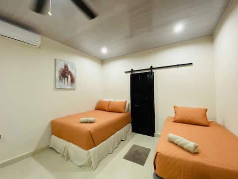 CARNELIAN: New, Modern and Safe