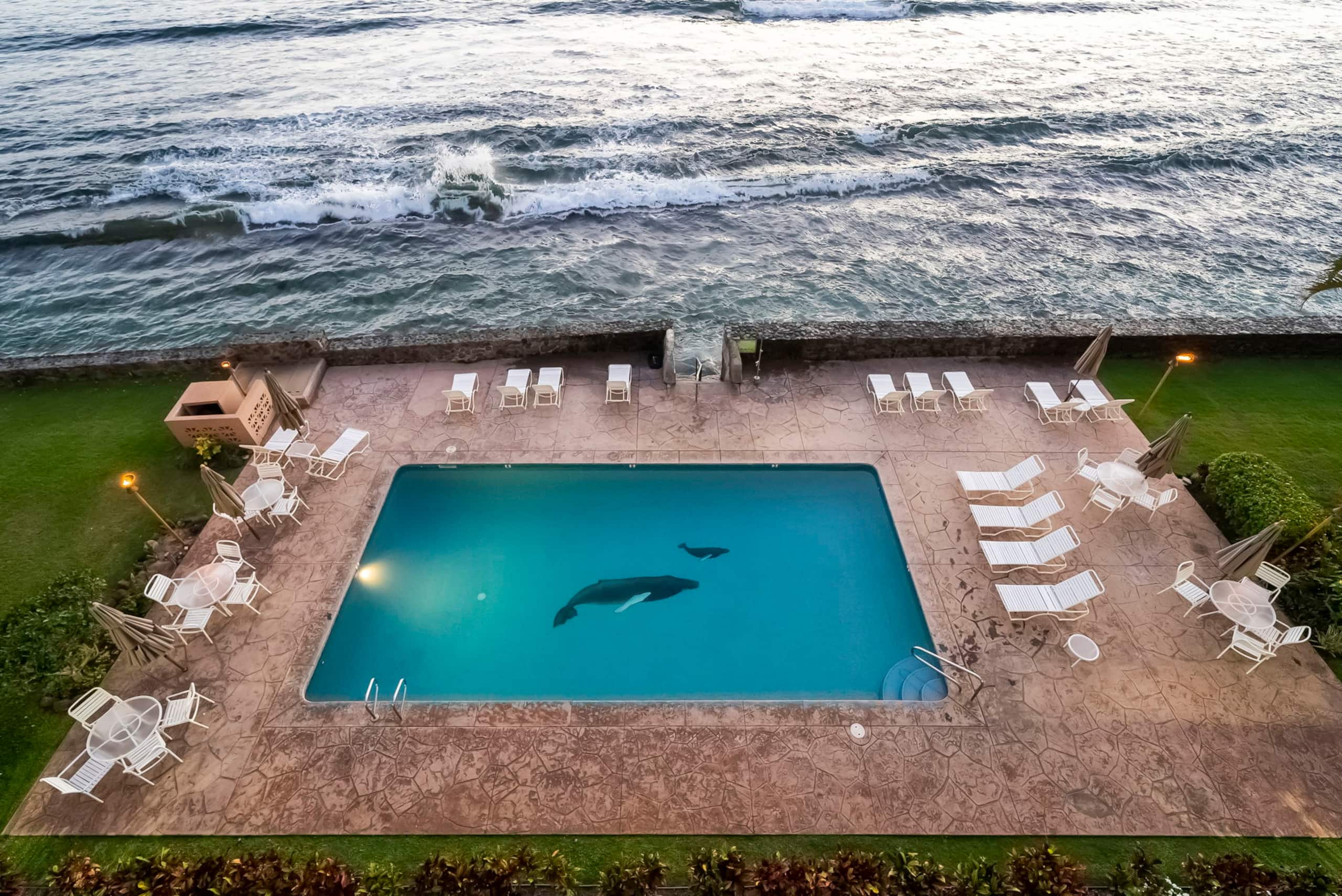 Rooftop at Lahaina Roads - Image 35