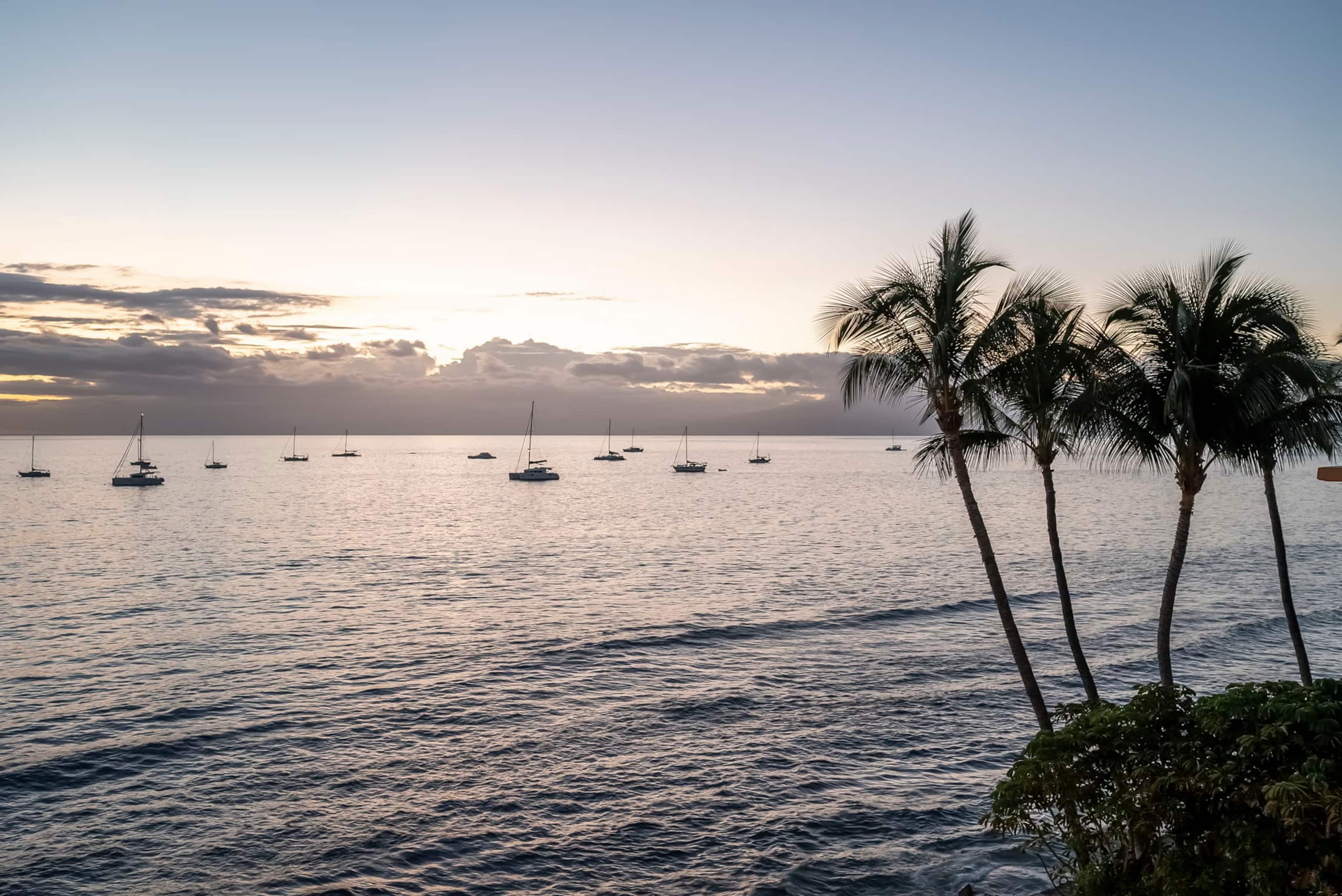 Rooftop at Lahaina Roads - Image 80