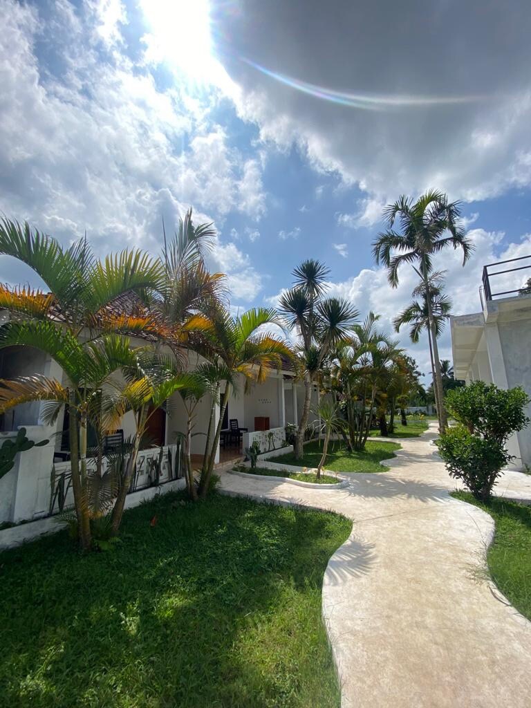 A well-maintained pathway winds through a lush garden, bordered by tropical plants and palm trees. Sunlight filters through the foliage, illuminating the white building with a welcoming atmosphere. The landscape design creates an inviting space for relaxation and exploration.
