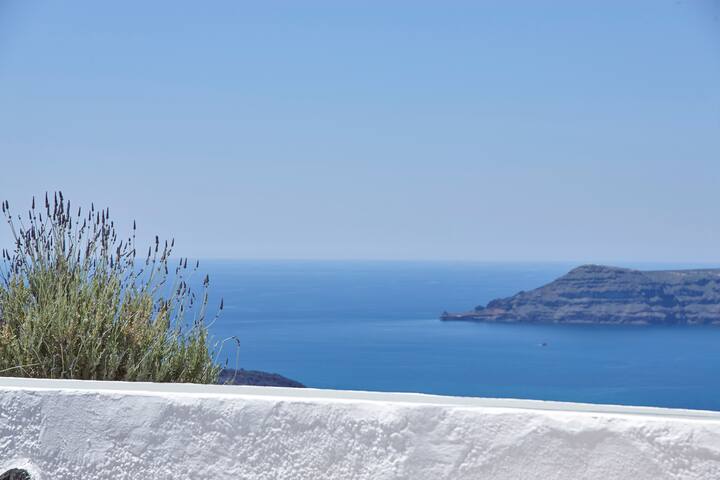 Nautilus Residence gallery image 5