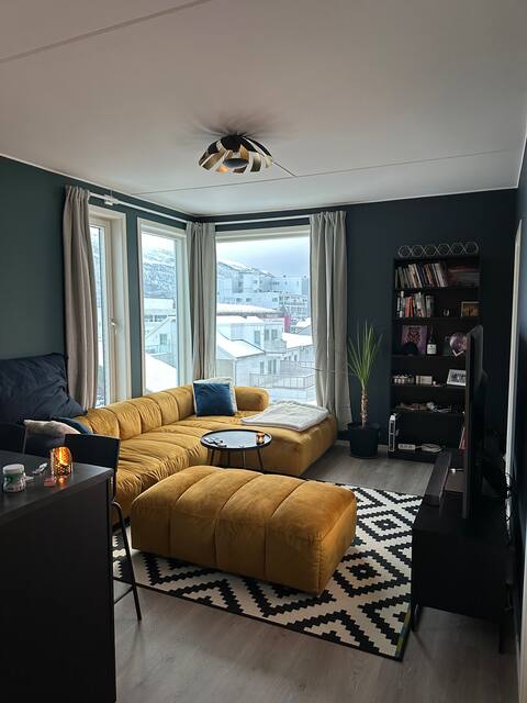 Successful Airbnb property: Newly renovated central apartment with a view! in Troms