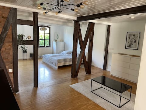 Modern bright studio apartment