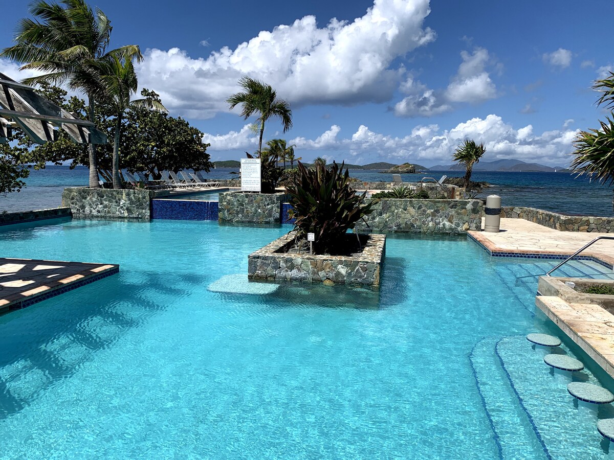 A clear blue pool is framed by lush greenery and palm trees, with lounge chairs positioned nearby. The water reflects the bright sky and clouds, creating a tranquil outdoor space. Ocean views are visible in the background, enhancing the serene atmosphere.