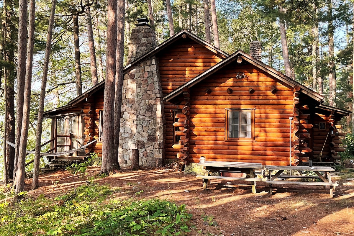 The rustic lakefront cabin features a beautifully crafted stone chimney, framed by tall trees. Two sturdy picnic tables are positioned in front, surrounded by a natural forest floor and dappled sunlight filtering through the branches.