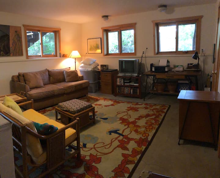 (Hilltop Cabin) Downstairs TV/Bedroom with new queen Futon (Bathroom and Laundry room through door on right)