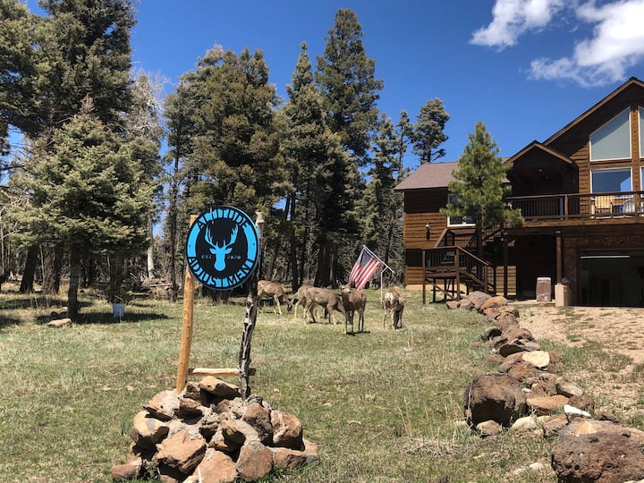 "Altitude Adjustment”–views, Wildlife, Hot Tub - Angel Fire