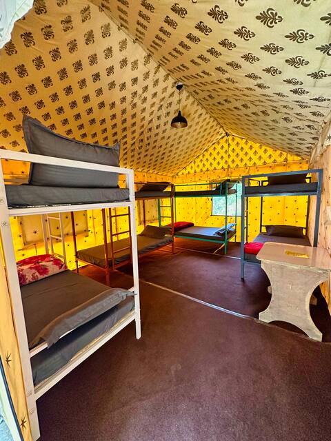 Dormitory Camp | Bunk Beds