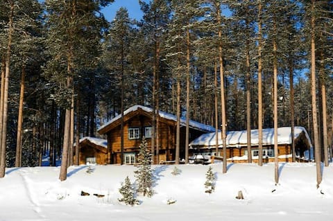 Luxurious log cabin in the mountains, Lofsdalen, Hjortehytta