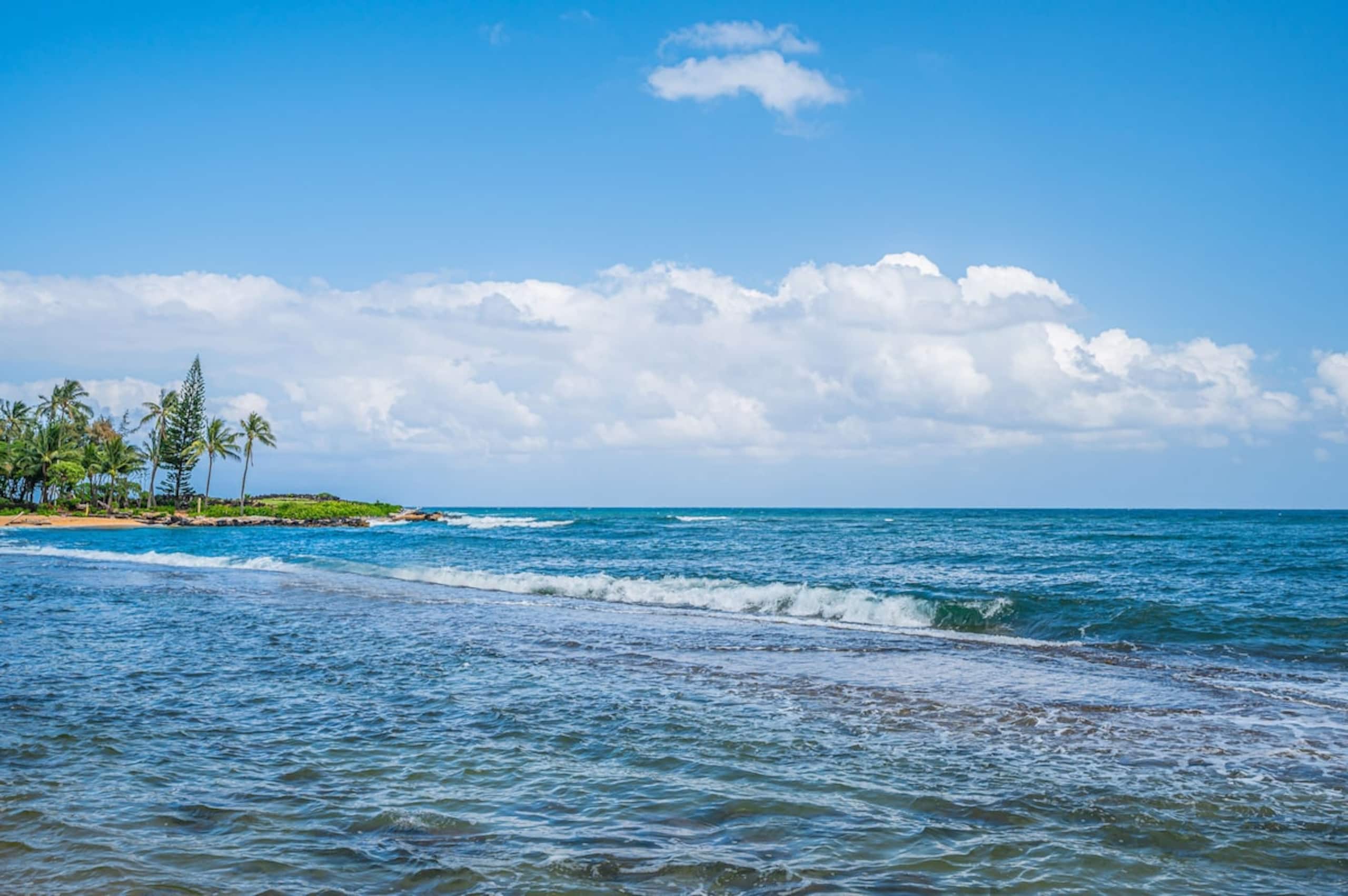 Kapaa Sands 1 - Oceanfront - Photo 16