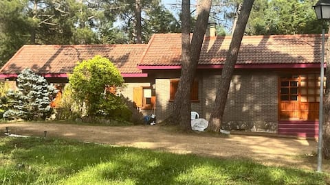 House surrounded by nature