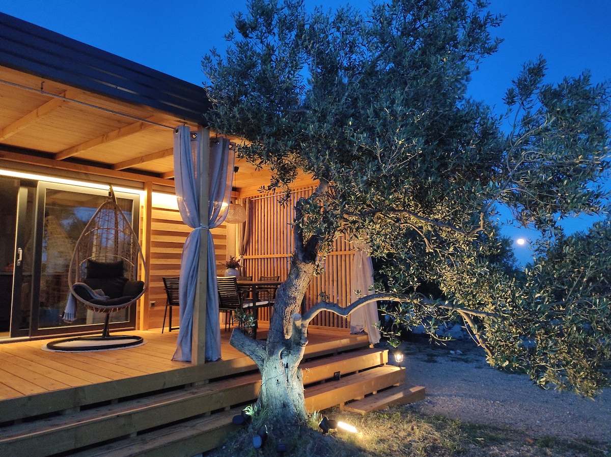 The exterior of the mobile home is shown at dusk, featuring wooden decking and large sliding glass doors. A hanging chair is positioned on the porch, while an olive tree stands nearby, illuminated softly by exterior lighting, creating a serene evening scene.