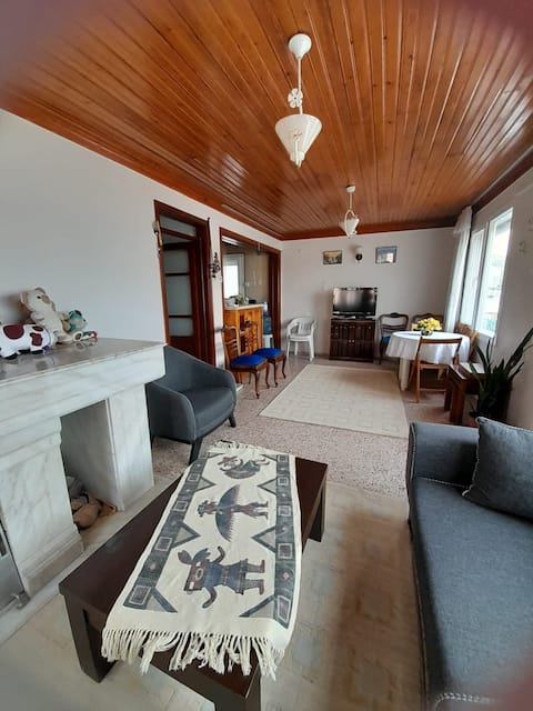 Successful Airbnb property: Blue House - Sığacık in Seferihisar