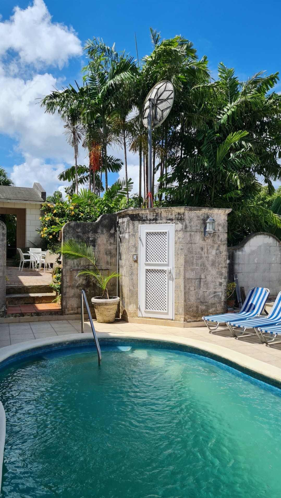 A swimming pool is seen surrounded by tropical greenery, with a gentle curve capturing the shimmering water. Lounge chairs are positioned nearby, and a white door is set against a textured stone wall, providing access to a serene garden area beyond.