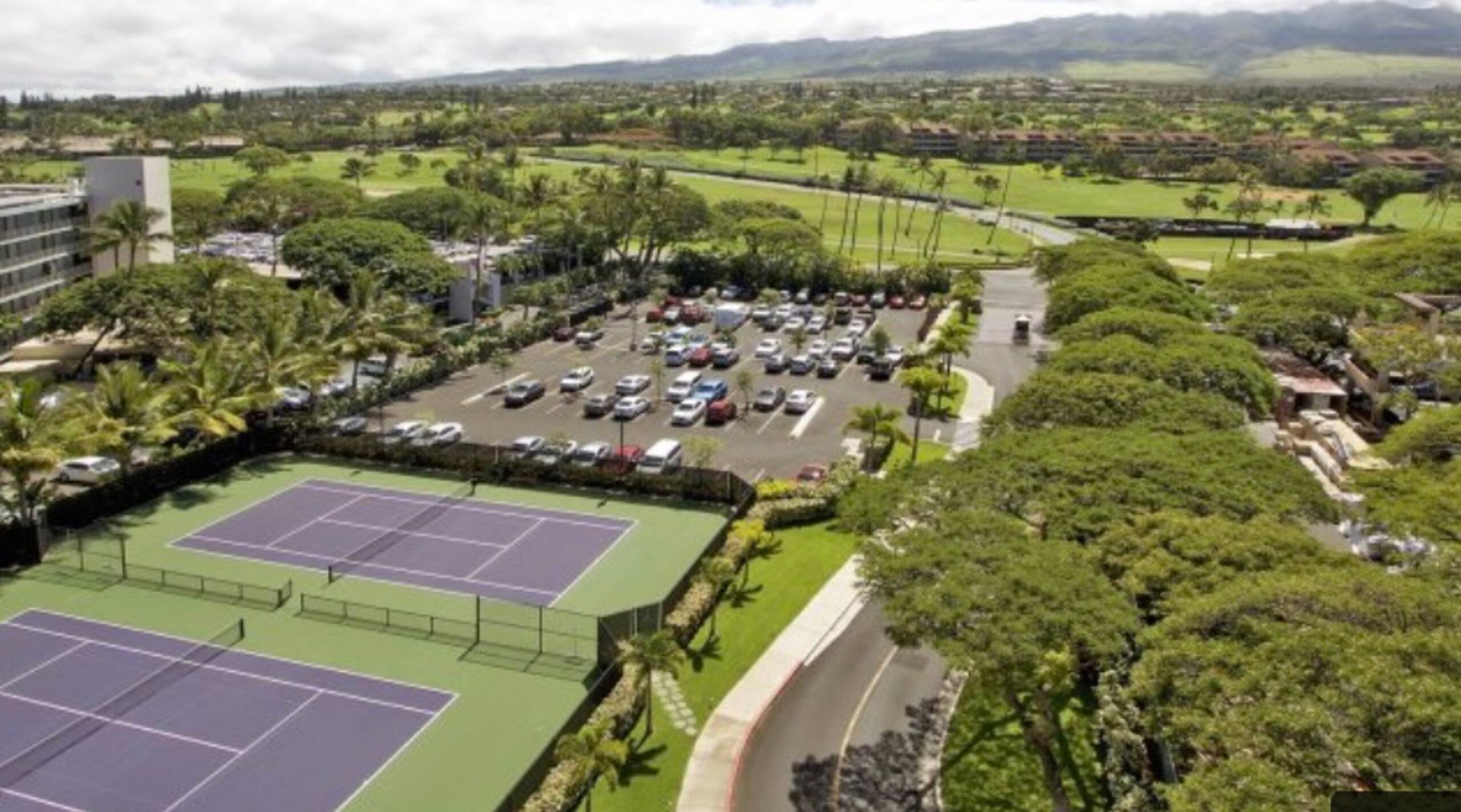 Kaanapali Whaler Full Oceanfront Oceanview AC - Image 54