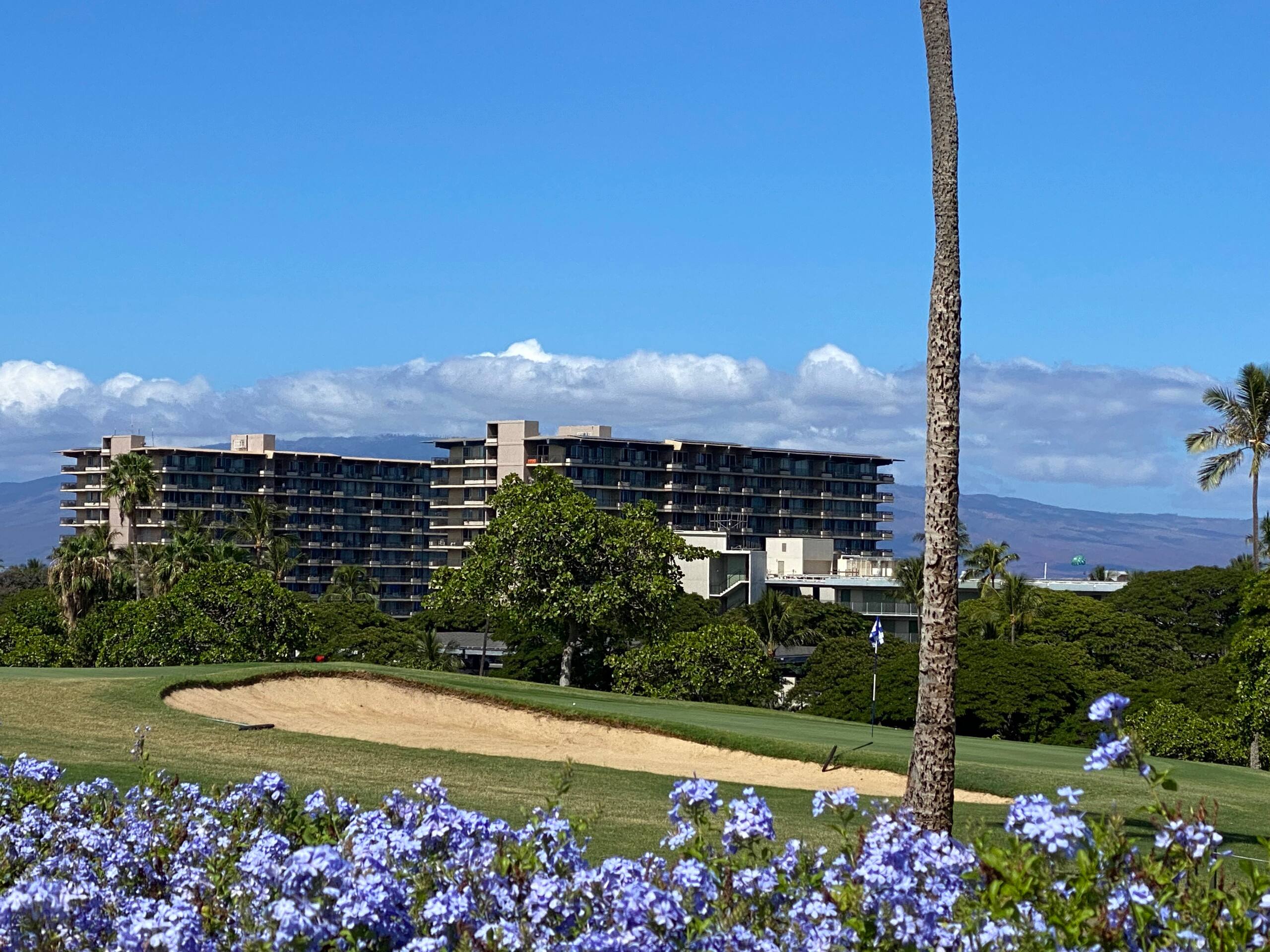 Kaanapali Whaler Full Oceanfront Oceanview AC - Image 39