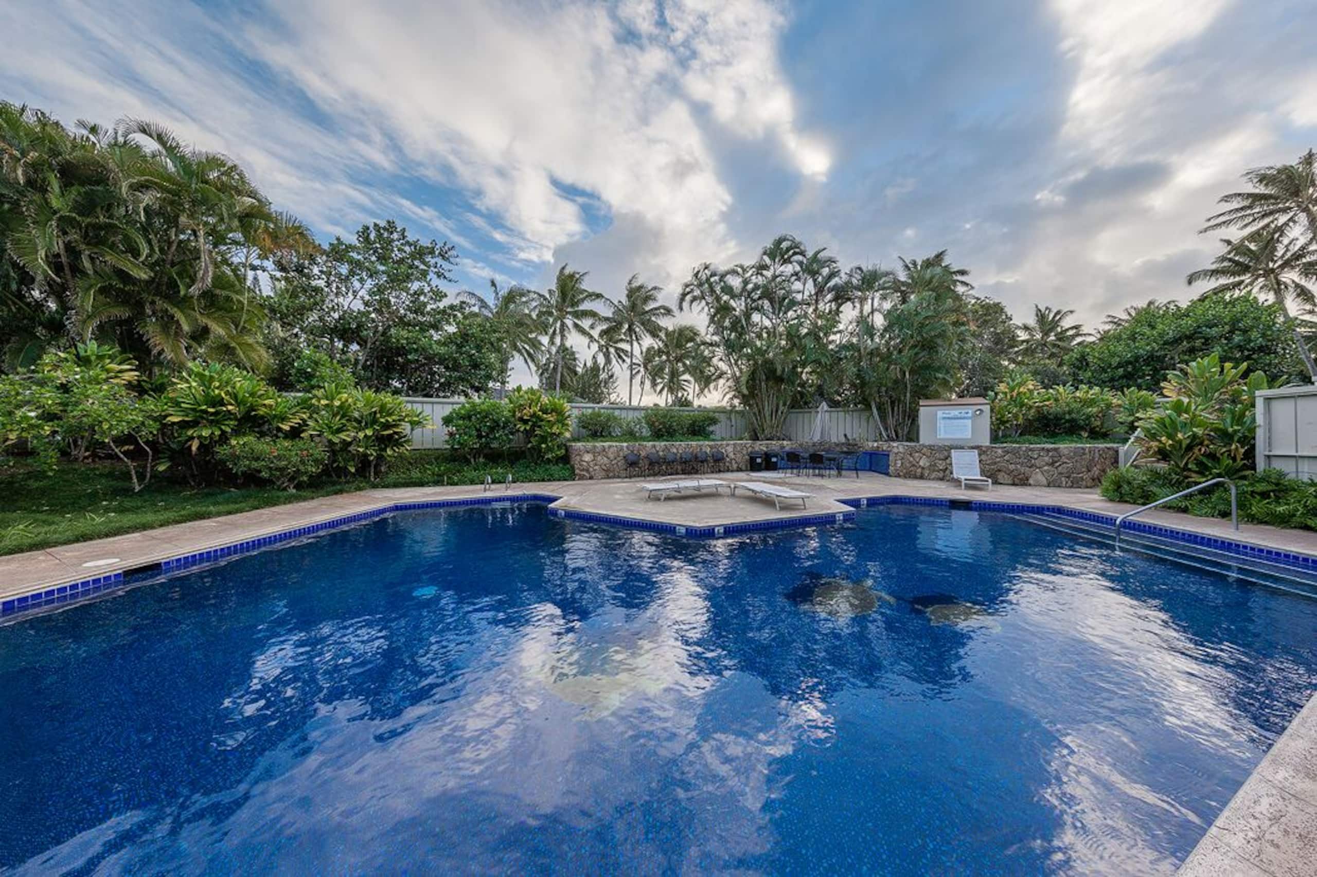 Condo in Kahuku · ★4.89 · 1 bedroom · 1 bed · 1 private bath - Image 11