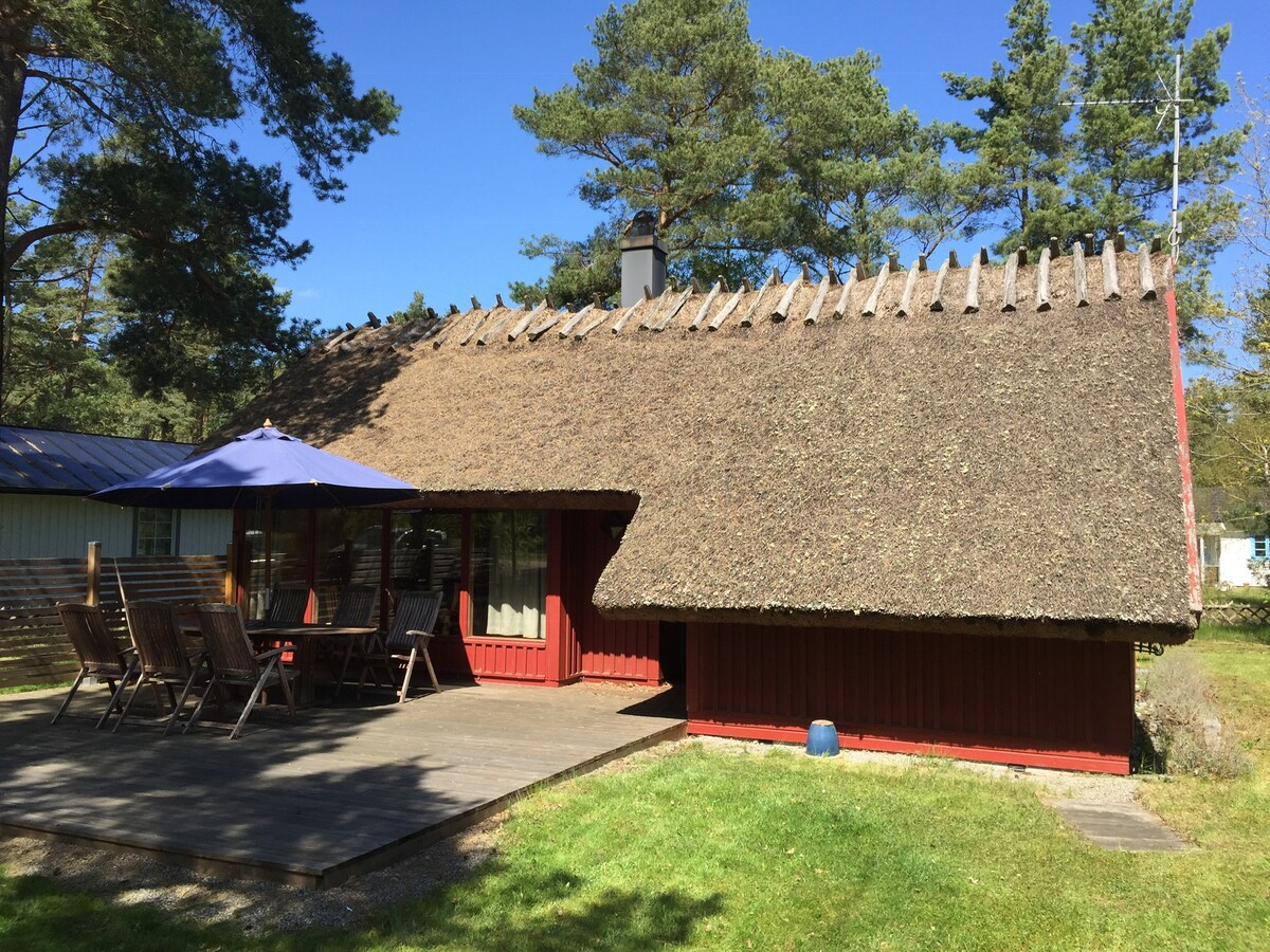 A red cottage with a thatched roof is presented, surrounded by trees. A wooden deck features a dining table with several chairs and an umbrella. Natural light enhances the inviting appearance of the outdoor space, reflecting the peaceful environment of the area.