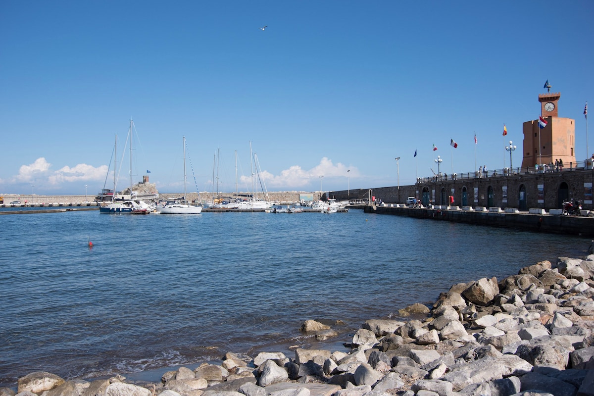 A view of a serene waterfront scene, featuring multiple sailboats anchored in calm waters. A stone pier extends alongside the shoreline, marked by a clock tower and adorned with flags. Clear blue skies provide a bright backdrop against the landscape.