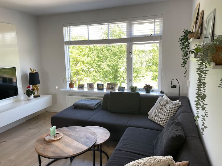 Cozy spacious apartment close to City Centre! Apartments for Rent in