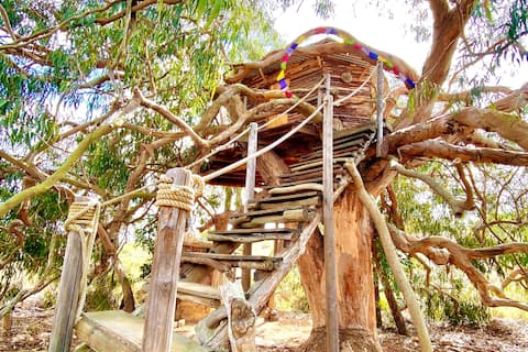 Magical Treehouse