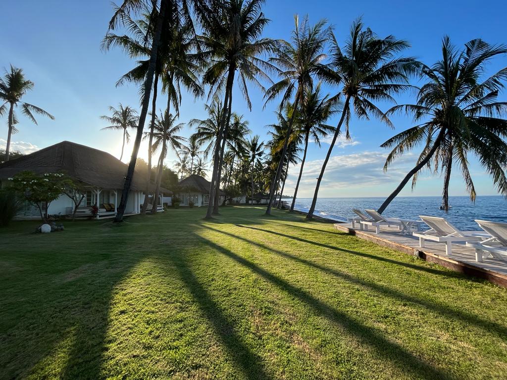 A lush tropical garden is lined with tall palm trees casting long shadows on the green lawn. The ocean is visible in the background, with lounge chairs positioned on the wooden deck, reflecting a serene seaside atmosphere.