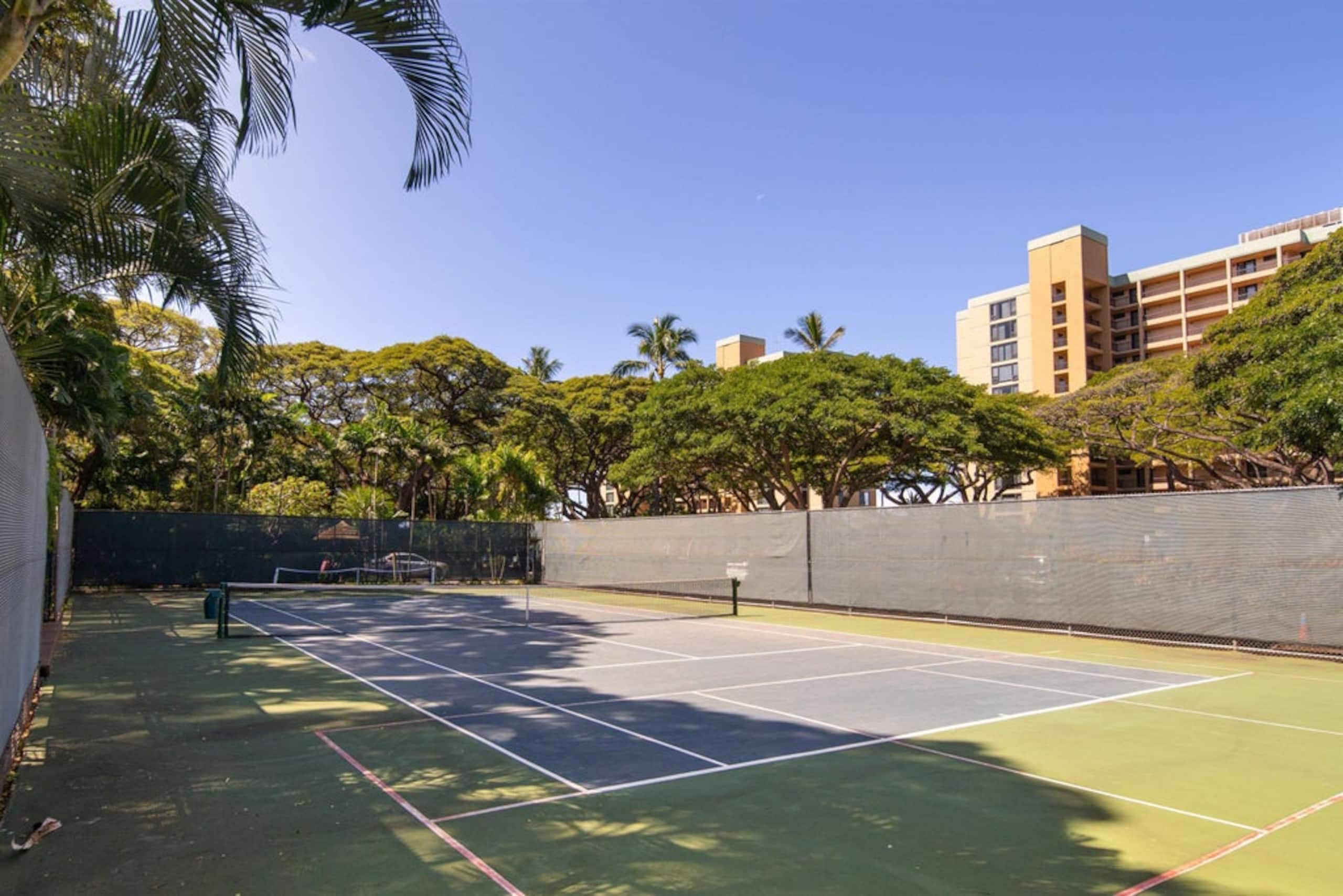 Mahana at Kaanapali- Beachfront Walkout Jewel - Image 52