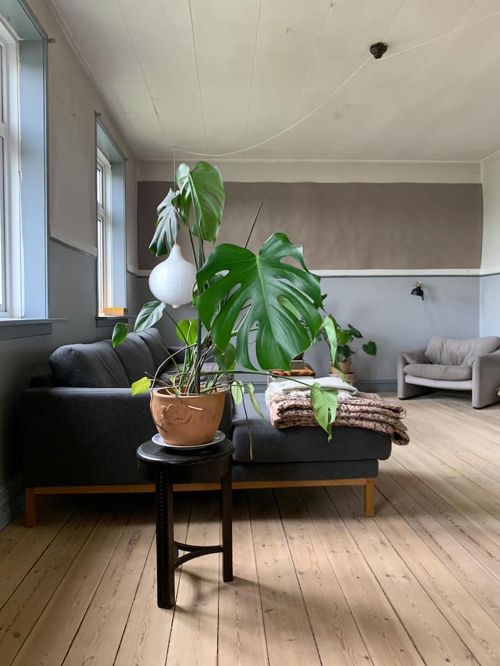 La pièce à vivre. Cette photo ne montre que la moitié de la taille. La chambre est double de la taille et possède également une balançoire intérieure.
Le coin lecture – une grande chaise confortable, douce et confortable pour s'enfoncer. Avec une bonne lumière de lecture.