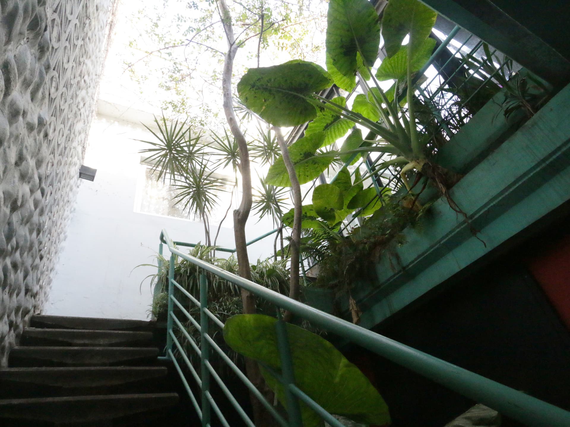 Three-bedroom PH apartment in Palermo Hollywood