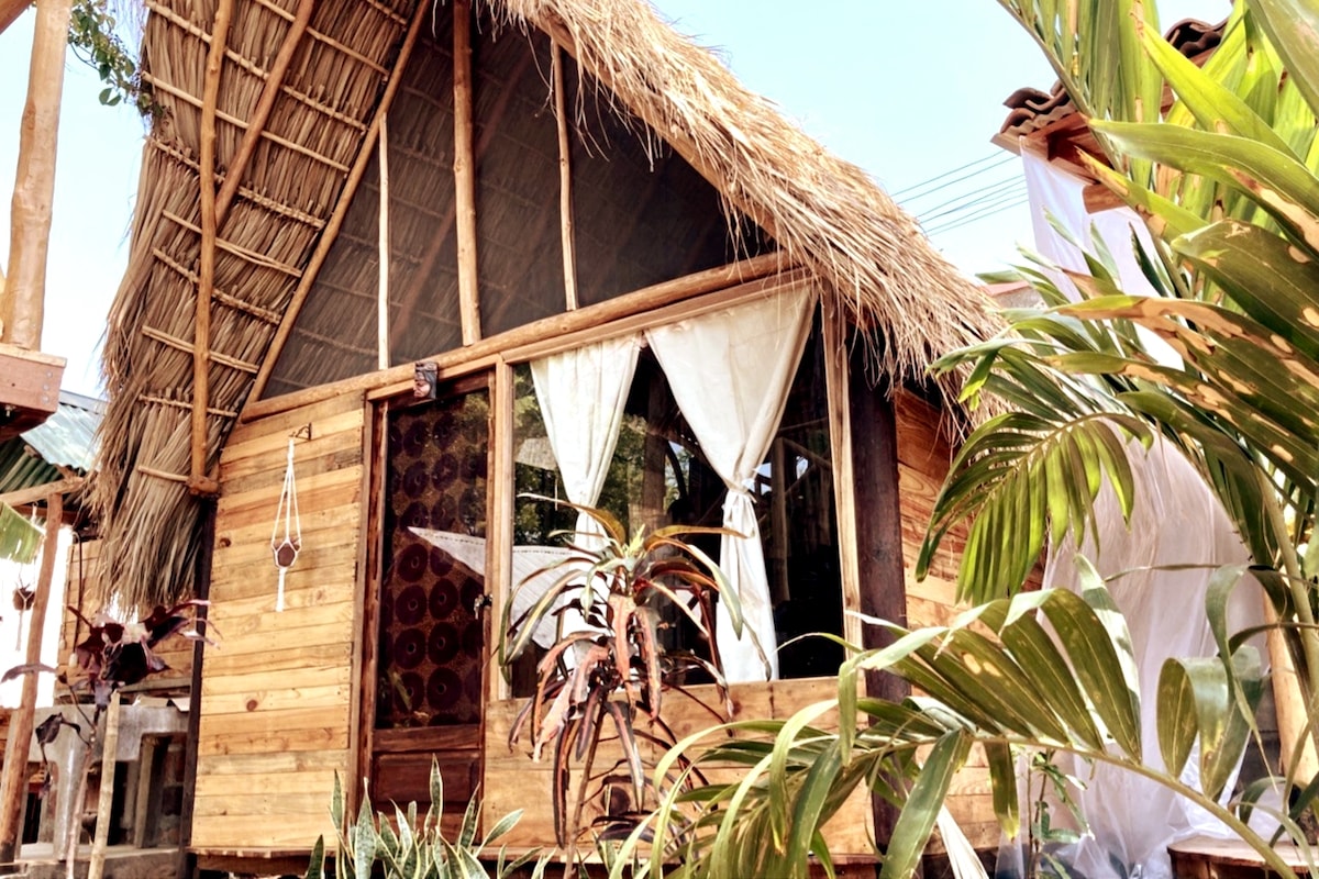 The cabin is constructed from traditional materials, featuring a straw thatched roof and wooden walls. Large windows allow natural light to enter, framed by light fabric curtains. Surrounding tropical plants enhance the cabin's connection to nature.