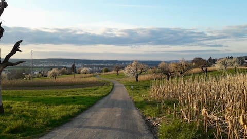 Beautiful apartment in Dornach