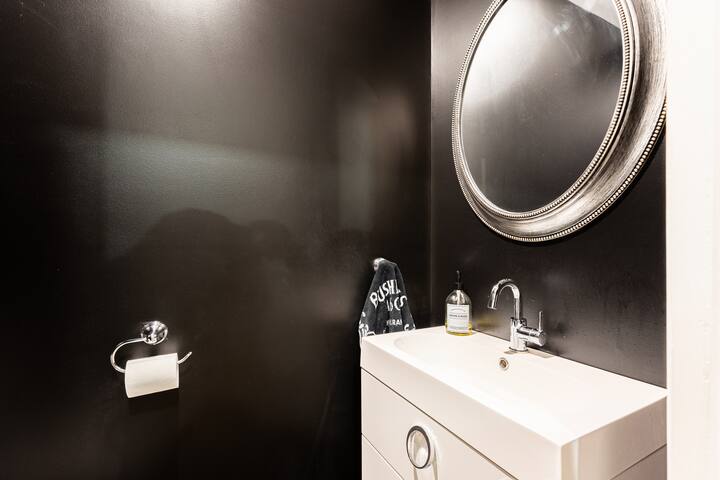 Plateau Mont-Royal house with private garden gallery image 5