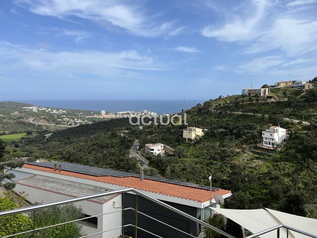 56CMN44.Casa Mas Nou 44 gallery image 4