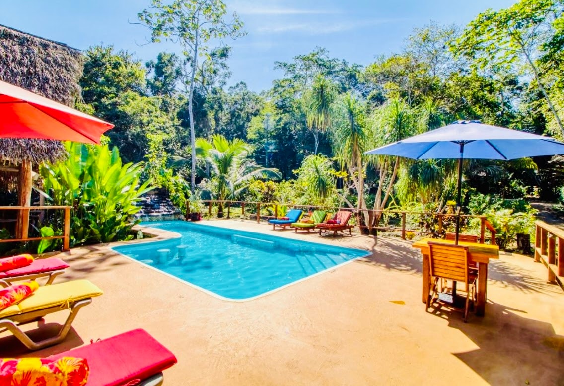 An inviting pool is framed by lush greenery and tropical plants. Colorful loungers sit alongside the pool, with umbrellas providing shade. A wooden dining table is positioned nearby, enhancing the outdoor space's connectivity with nature.