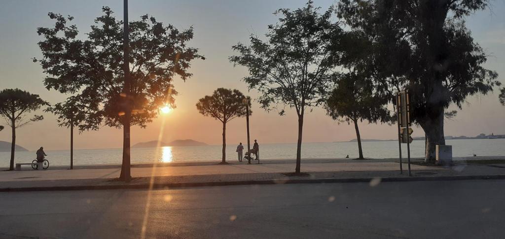 Listing 890459693086550278