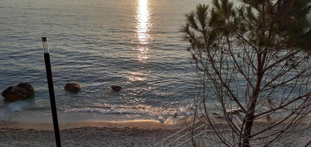 Listing 890459693086550278