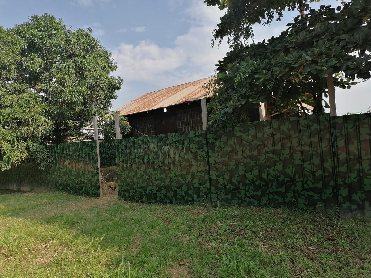 A rustic structure with a corrugated metal roof is positioned behind a green camouflage fence. Surrounding greenery includes a tall tree and grass, creating a serene outdoor space. The sky is partly cloudy, adding to the tranquil atmosphere.