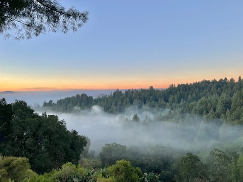 Redwood Sanctuary