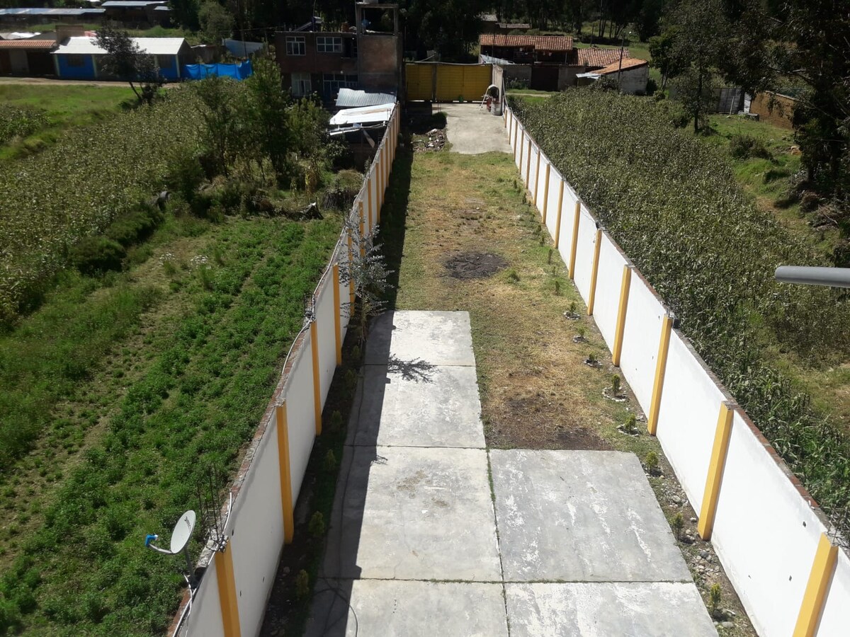 An expansive outdoor area is shown, featuring a gravel pathway leading through lush greenery. Flanking the sides, tall hedges provide privacy. The space is bordered by white walls with yellow accents, creating an open and inviting environment.