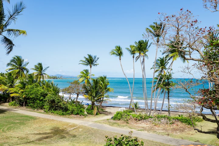 Beachfront Villa @Palmas del Mar