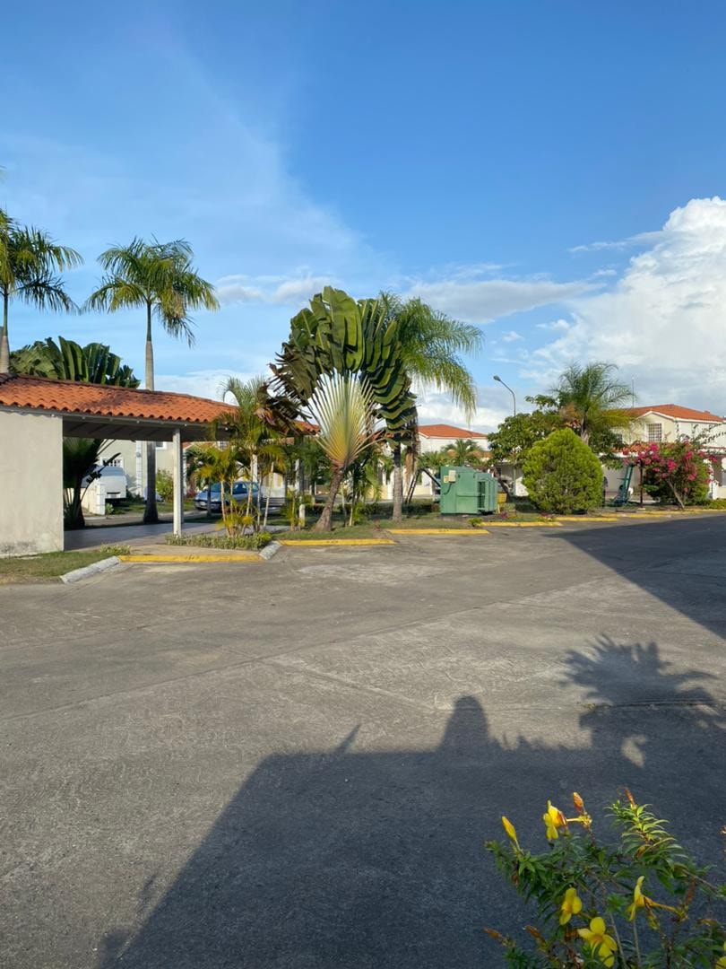 A wide view of a peaceful residential area is captured, featuring well-maintained greenery including palm trees and flowering plants. A clear blue sky is visible above, with a paved pathway leading through the area, indicating accessibility and tranquility.