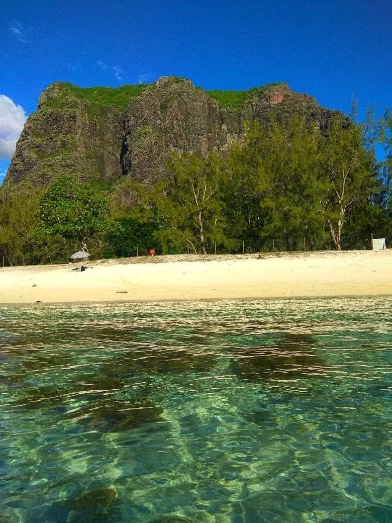 A clear view of a rocky hillside rises above a sandy beach, framed by tall green trees. The water's edge reveals gentle ripples in a sunlit, shallow lagoon, reflecting a vibrant blue sky. The beach area appears calm and inviting.