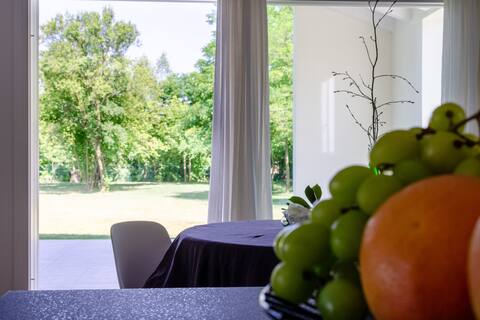 Large and bright house with garden