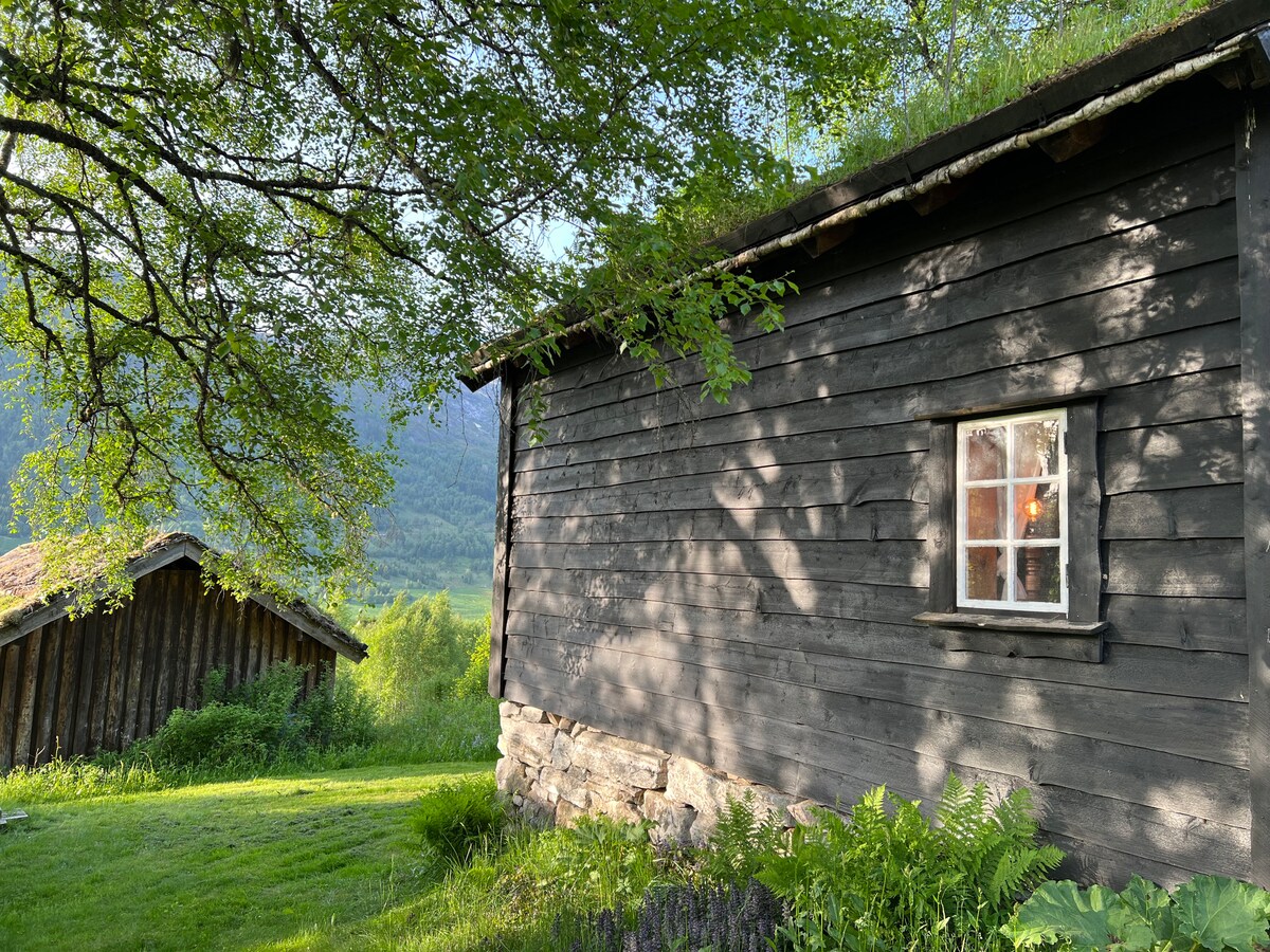 The exterior of a rustic wooden cabin is visible, featuring a sloped grass-covered roof. A small window with white frames is positioned to the right, allowing soft light to escape. Lush greenery surrounds the cabin, enhancing the natural beauty of the setting.