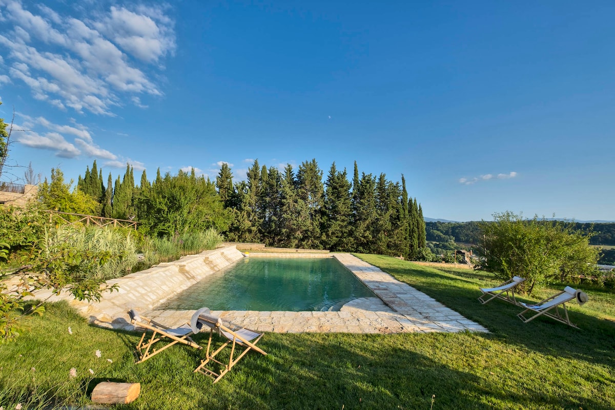A serene biolago is set within a lush green landscape, featuring clear water and natural stone edging. Surrounding lounge chairs provide a relaxing space to enjoy views of the distant trees and hills, all under an expansive blue sky with scattered clouds.
